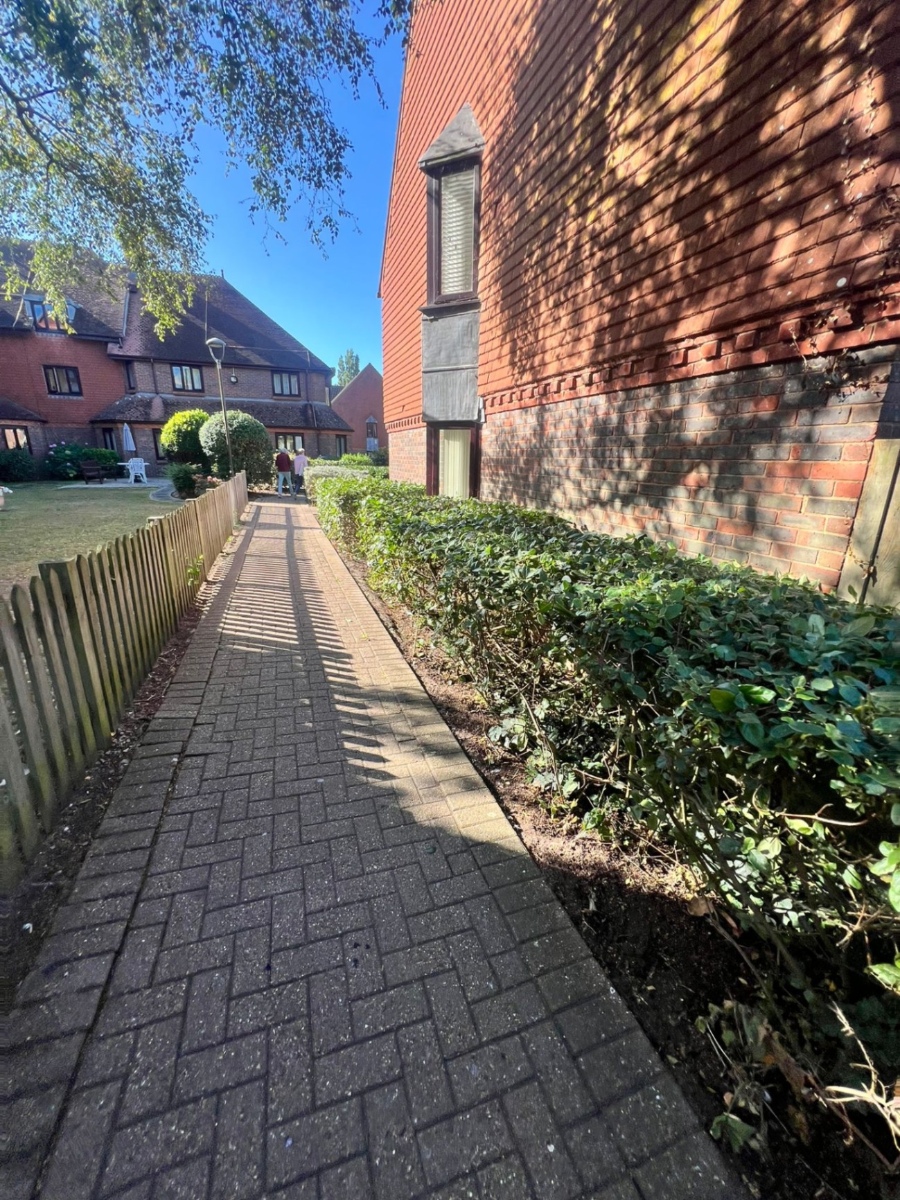 Retirement community hedge trim