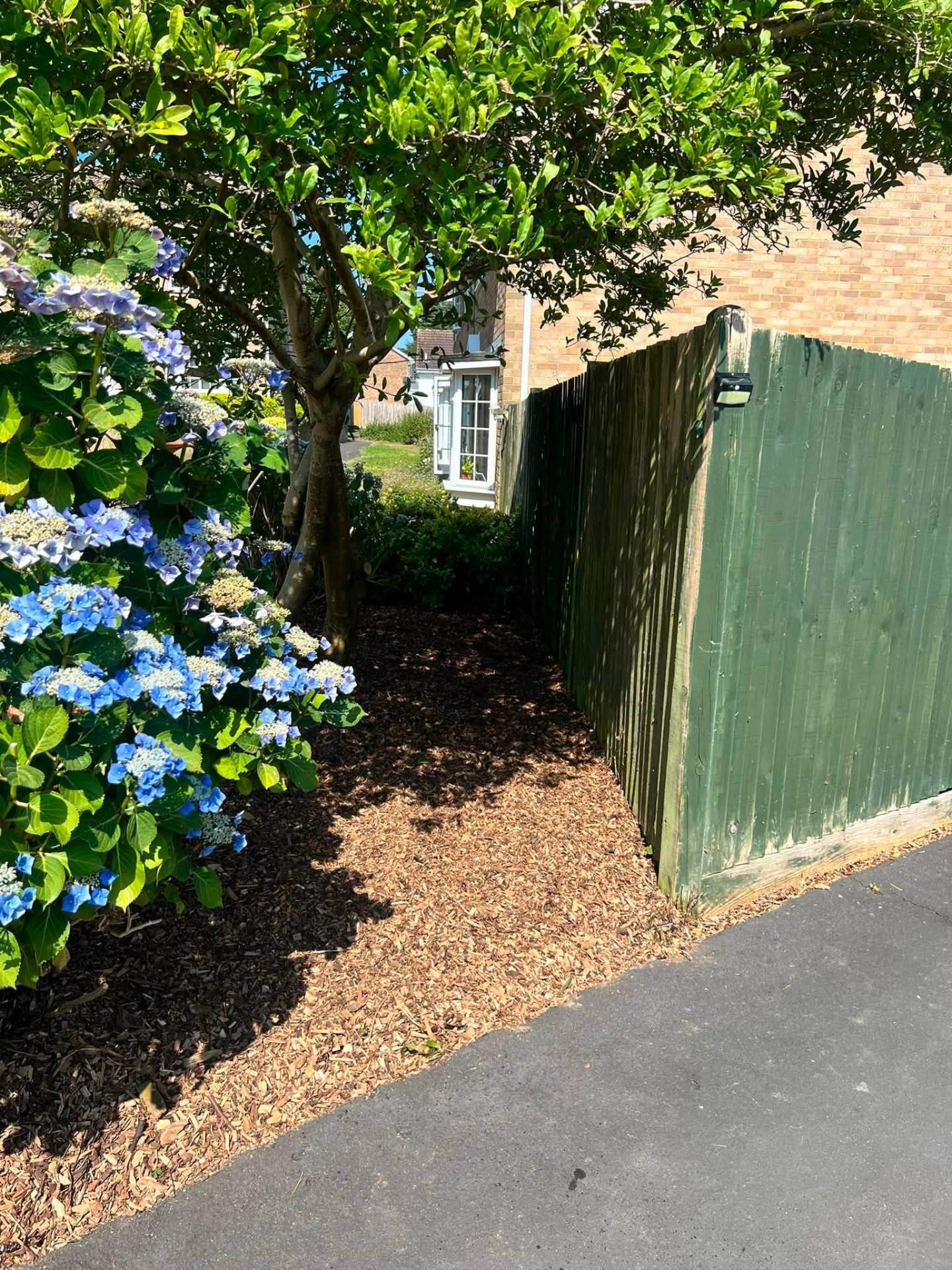 Shaded hydrangea border & bark mulch path