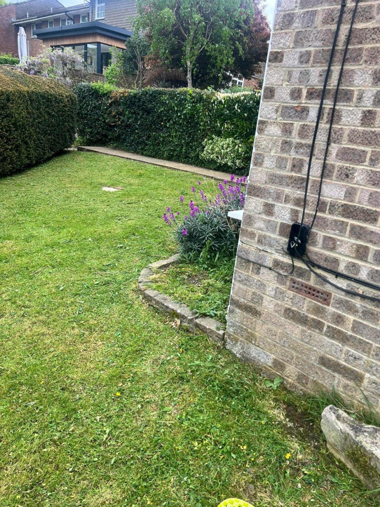 Rear lawn mow & border edging