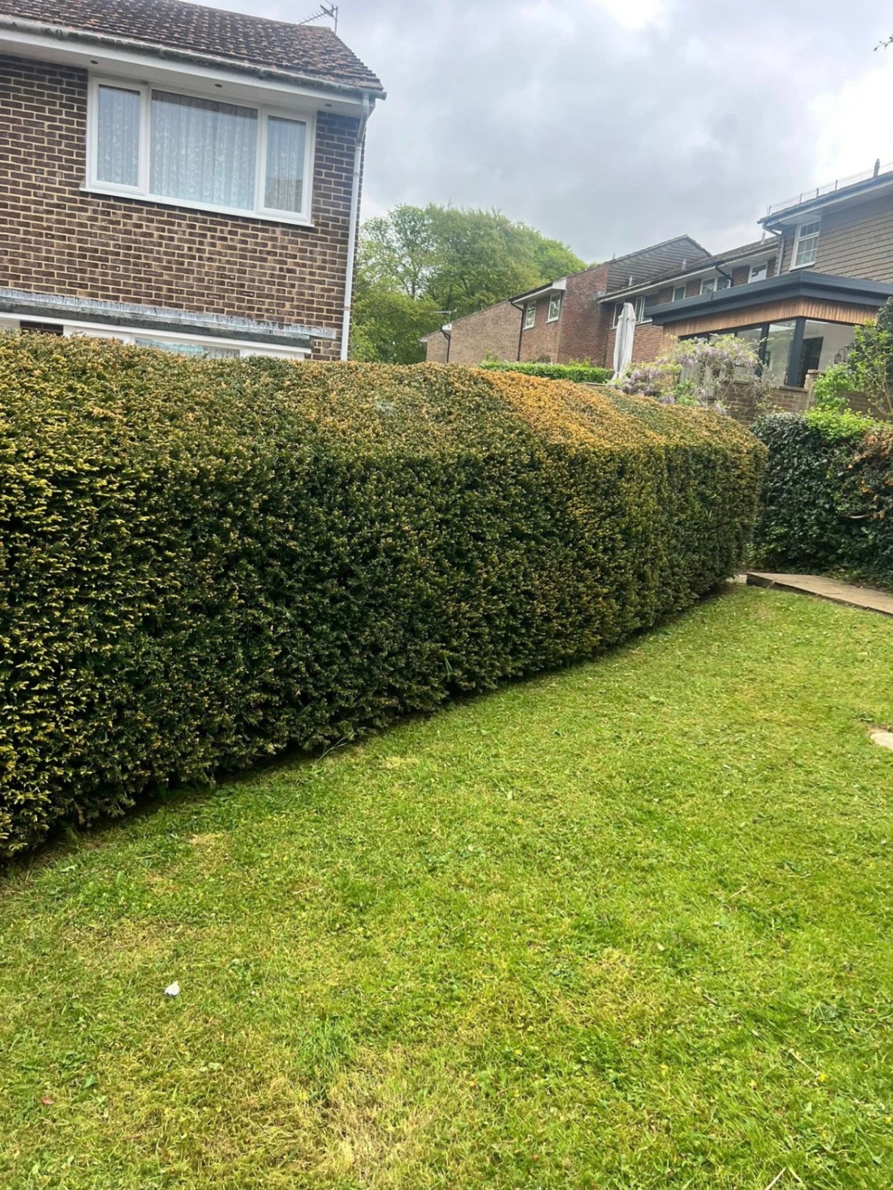 Formal hedge shaping