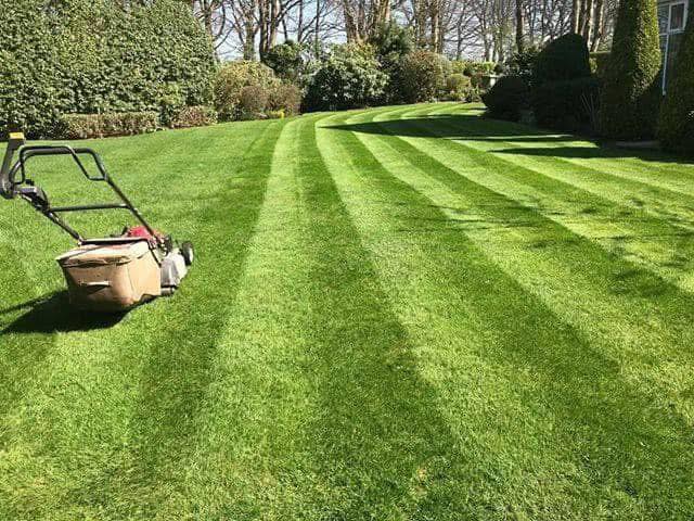 Precision striped lawn cut