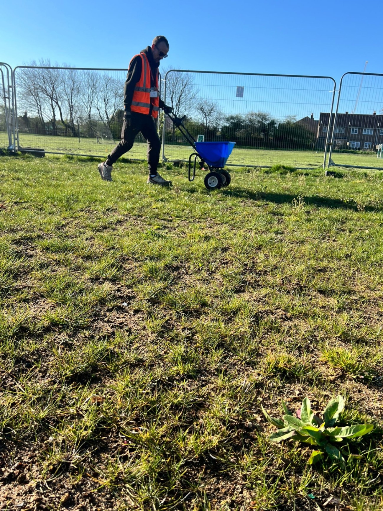 Sports pitch fertiliser application