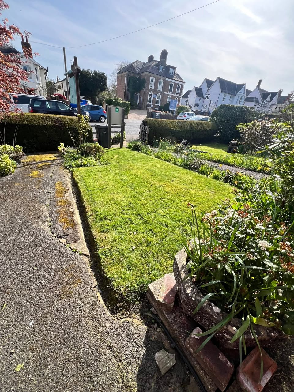 Front lawn cut & hedge shaping