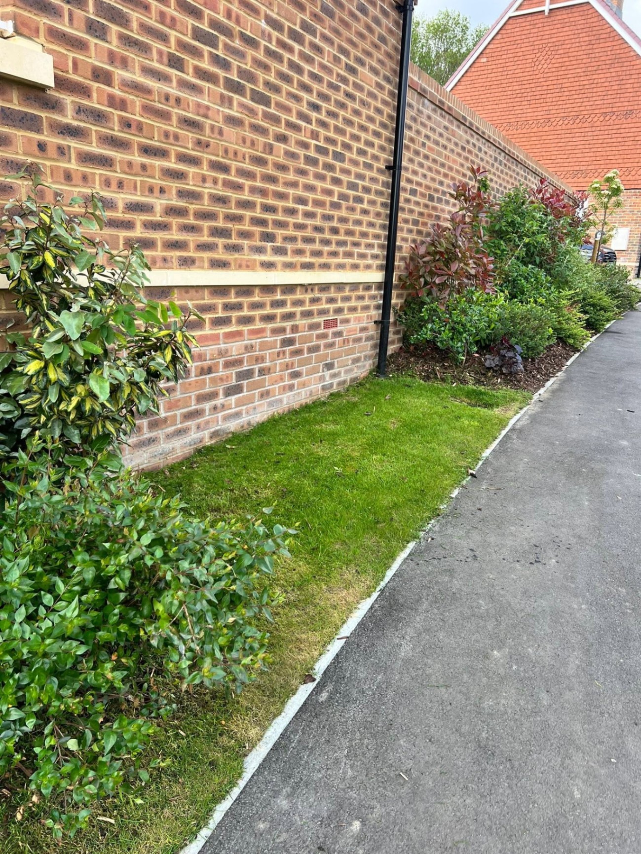 New-build shrub border & lawn establishment