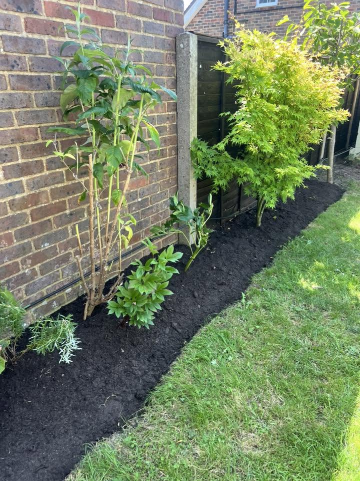 Freshly planted border with acer & shrubs