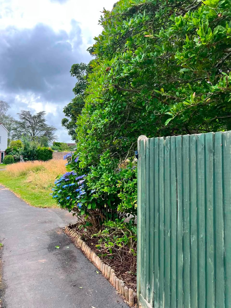 Laurel hedge & timber edging maintenance