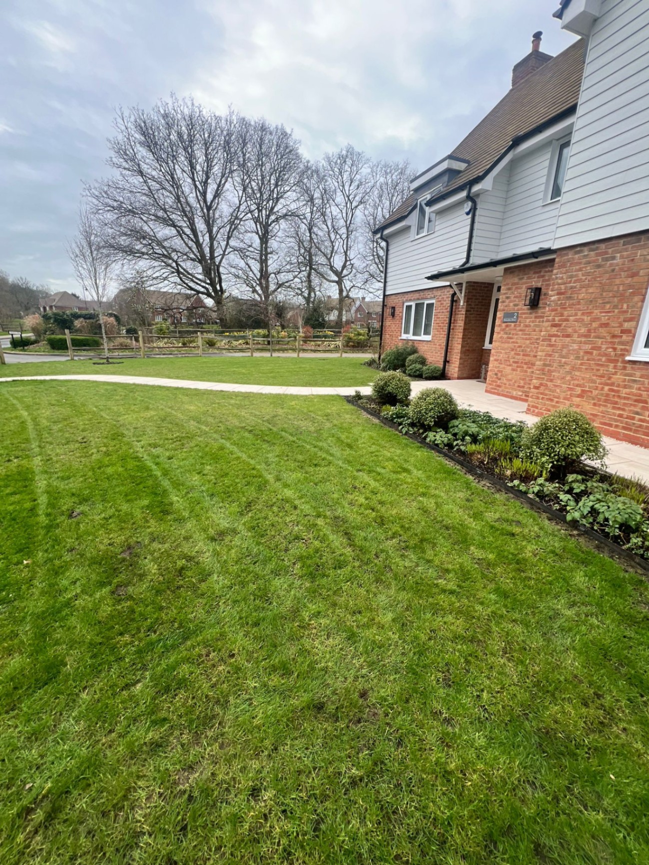 New-build lawn & border planting