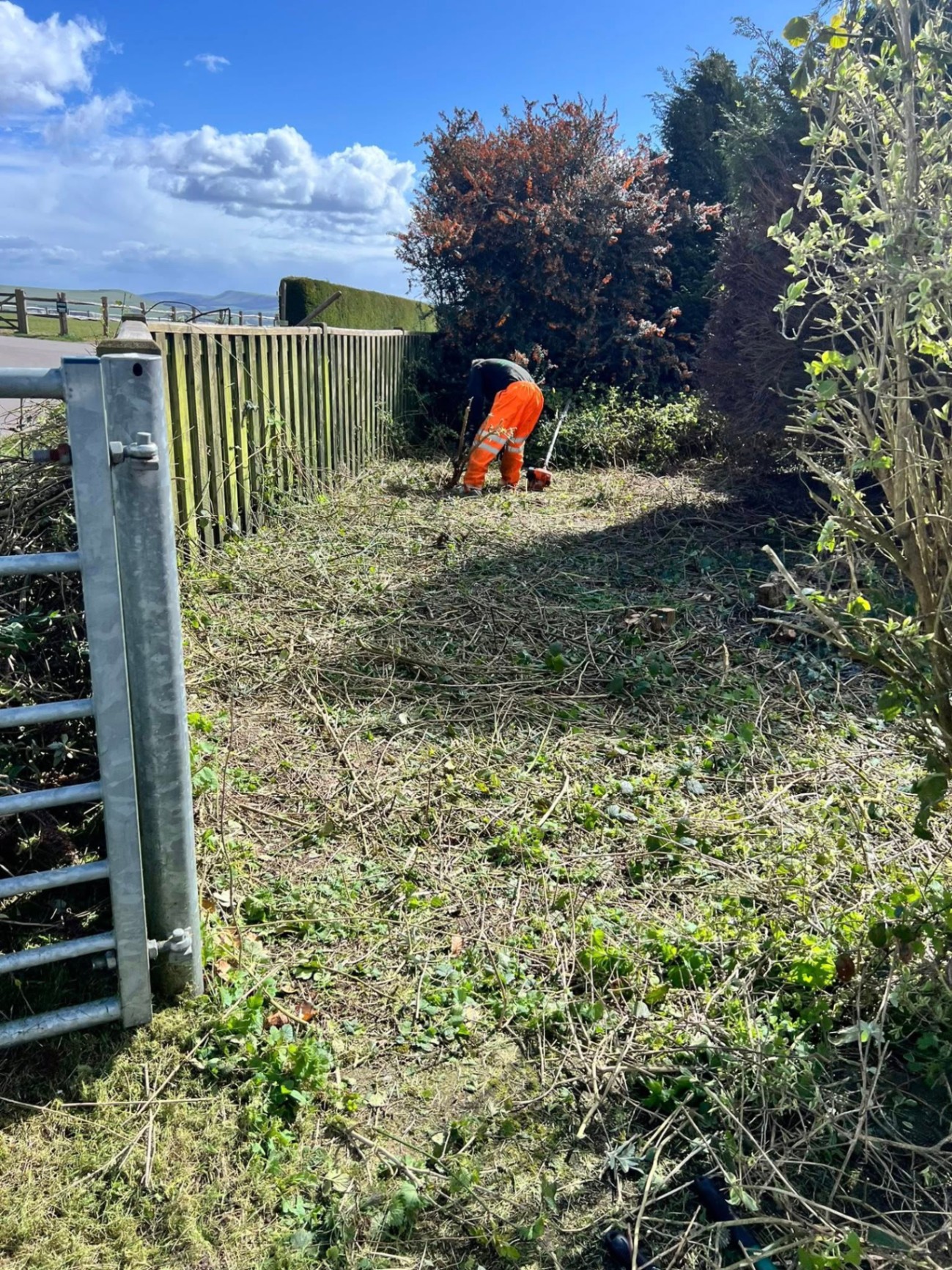 Site clearance & waste removal