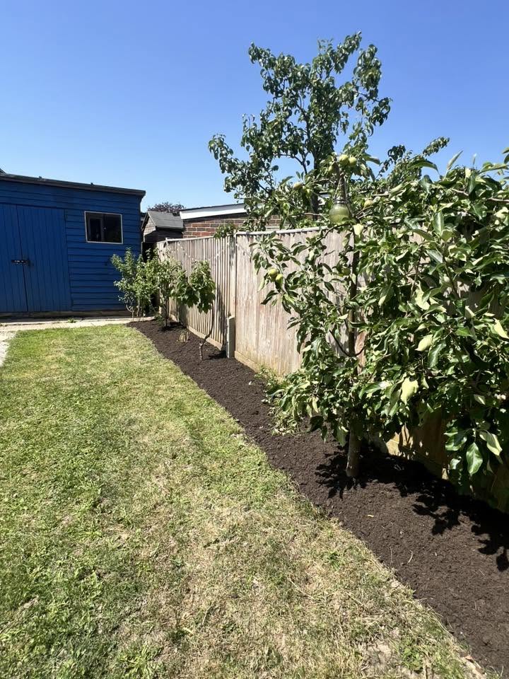 Fruit tree border mulch & lawn tidy