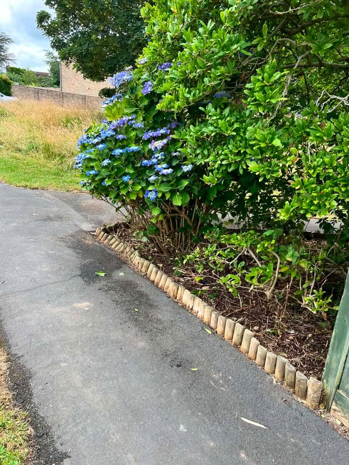 Timber-edged border & pathway tidy
