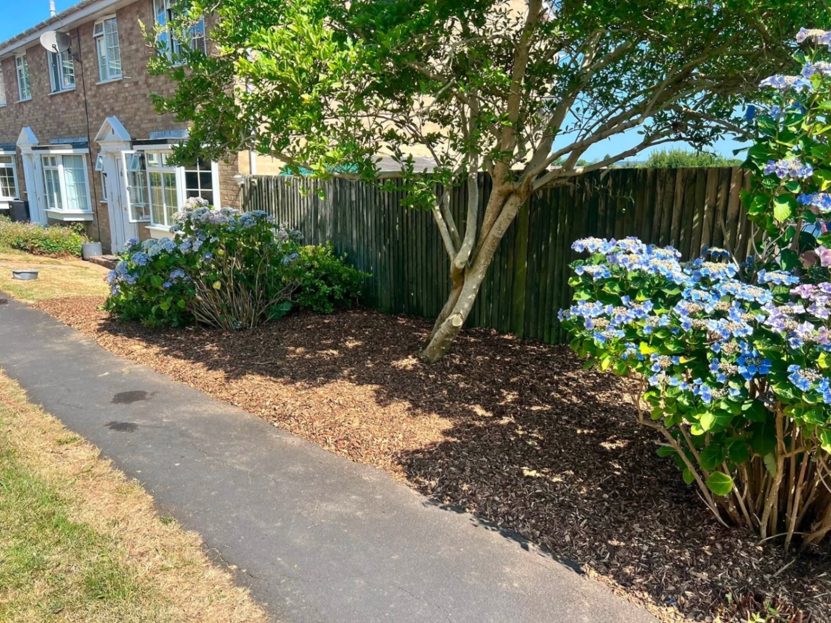 Front garden mulch refresh & hydrangea beds