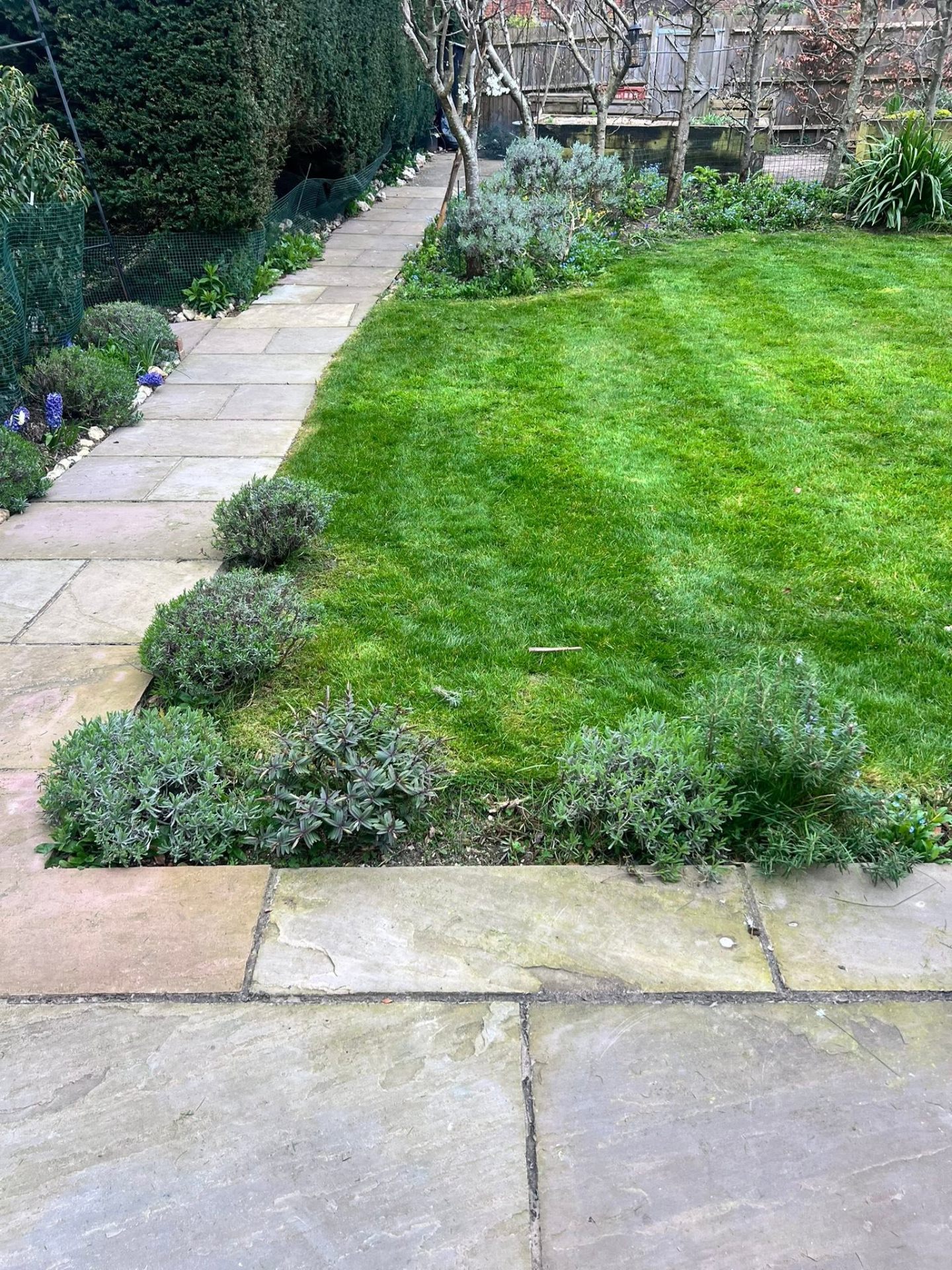 Stone pathway, lawn & planted borders