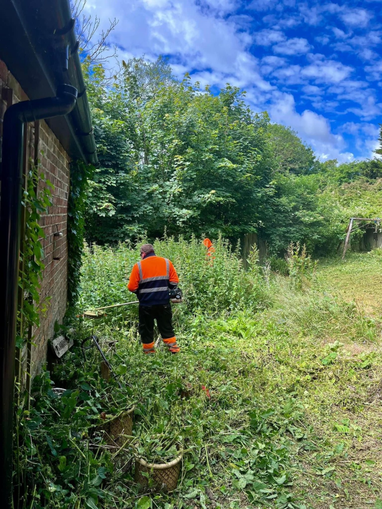 Overgrowth clearance & strimming