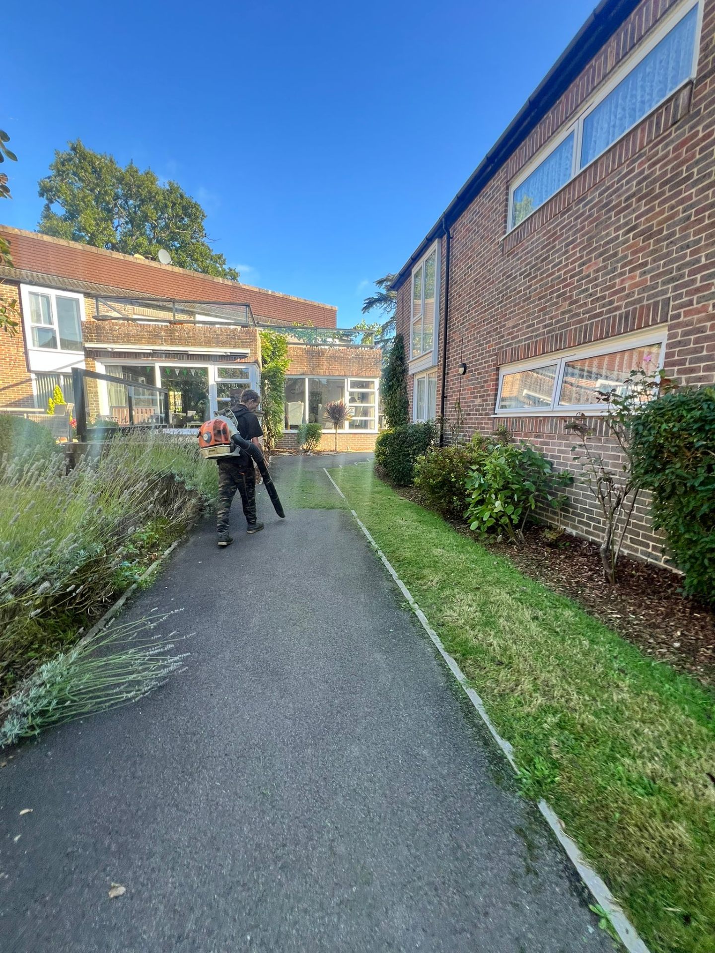 Pathway blow-down & tidy