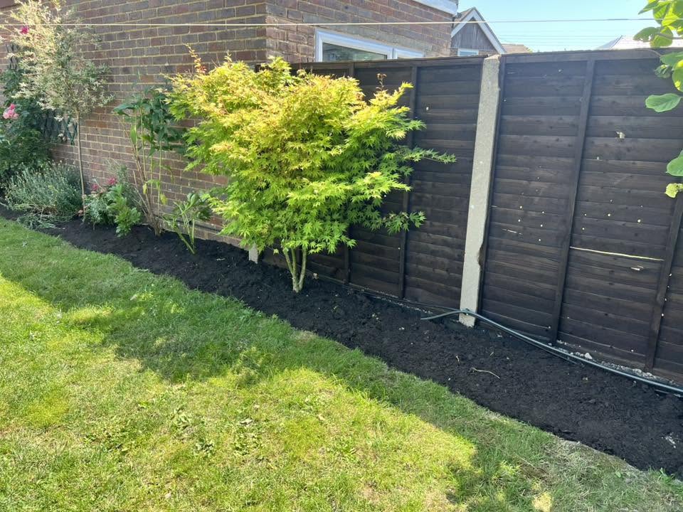 Border dig-over, planting & irrigation