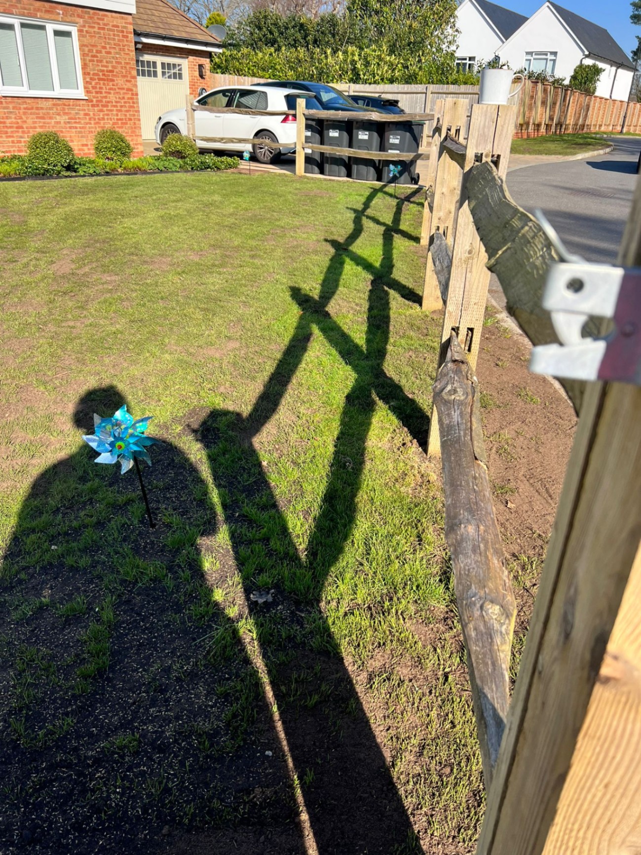 Front lawn establishment & tidy