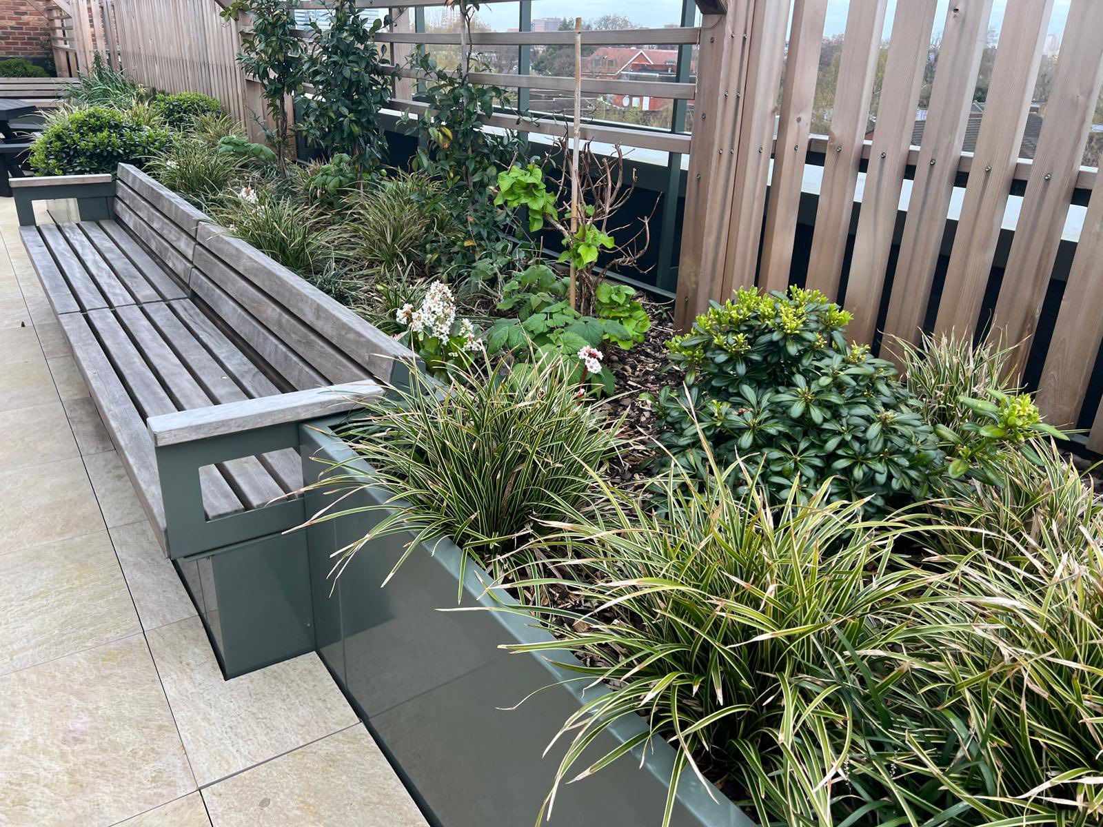 Rooftop planted borders & seating