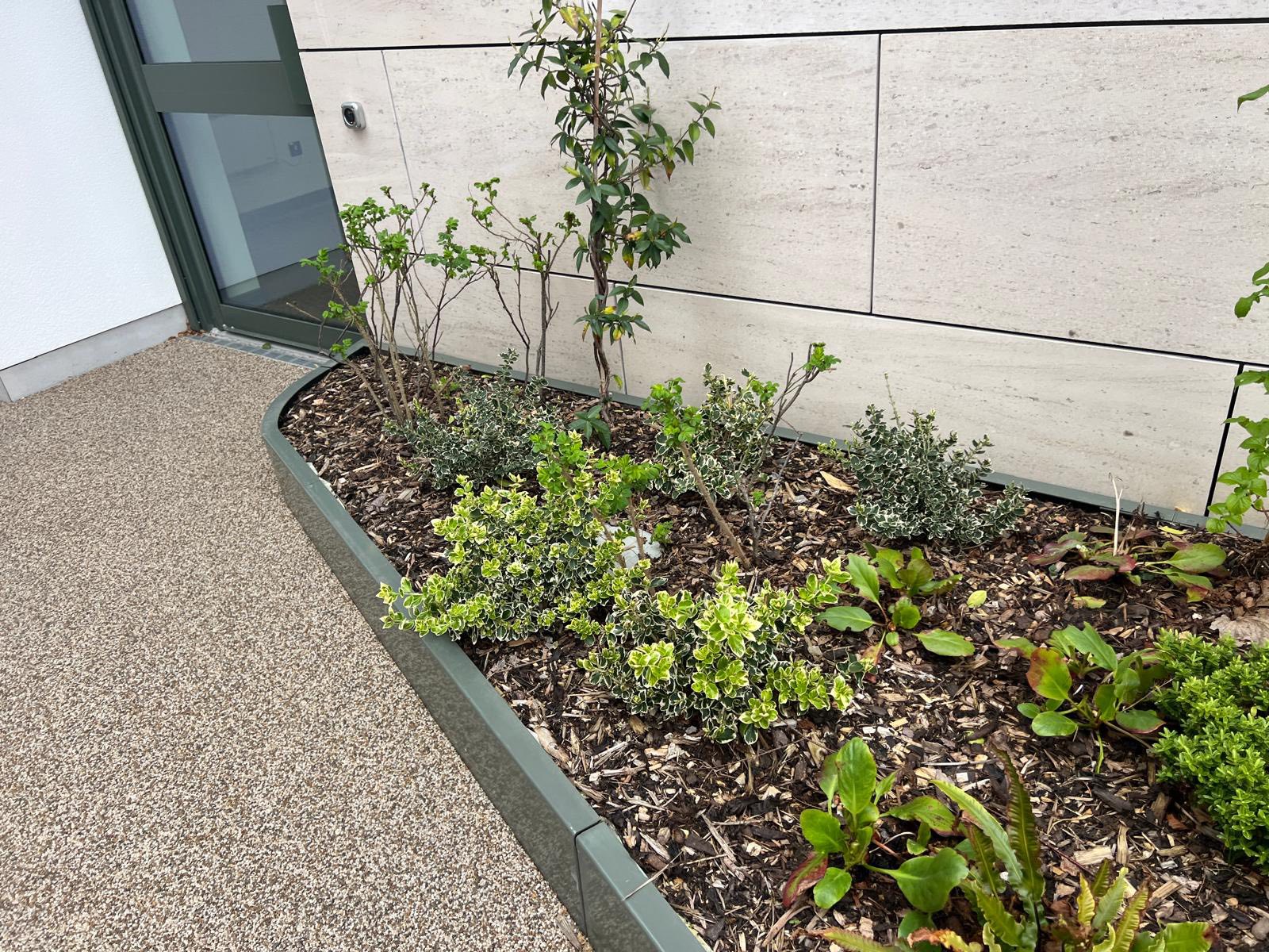 Entrance planted border