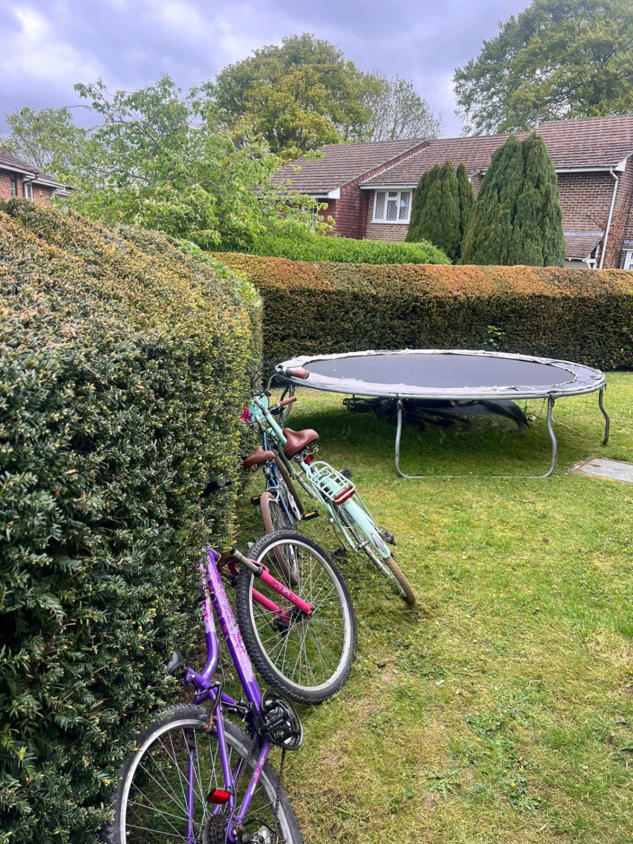 Communal lawn & boundary hedge care