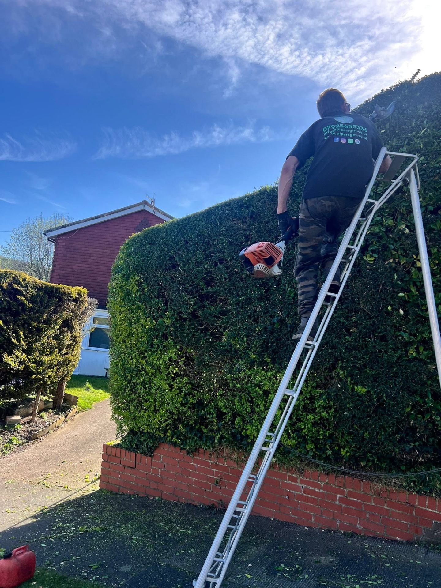 Tall hedge trimming & shaping